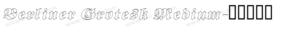 Berliner Grotesk Medium字体转换